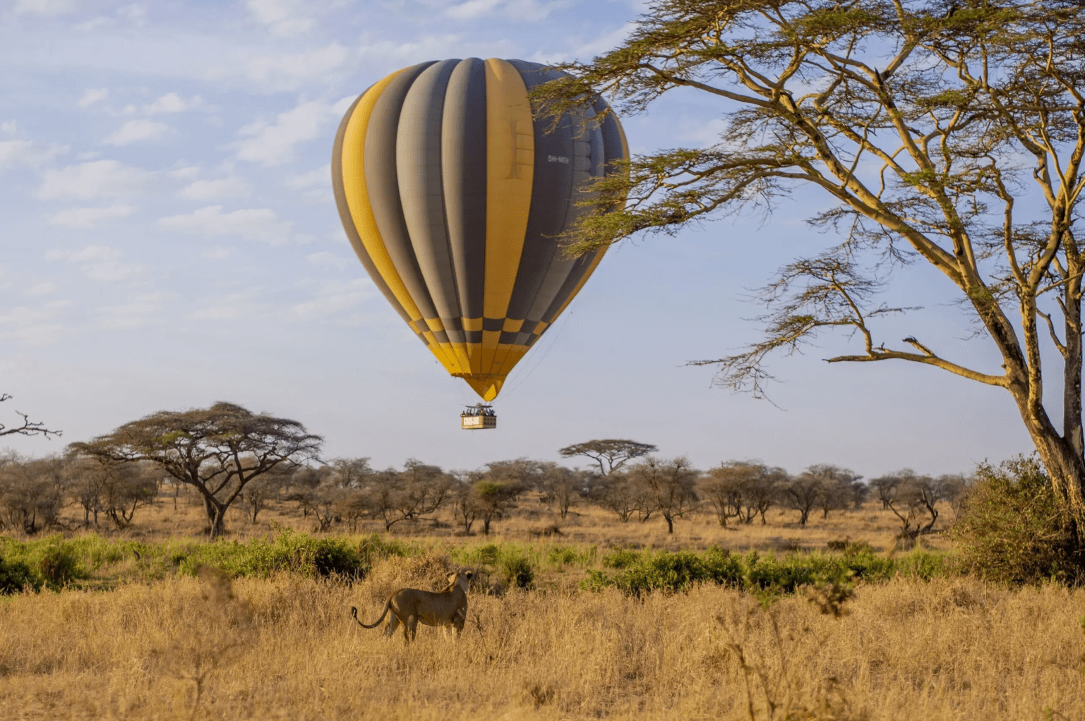 Ballonvaart Serengetti