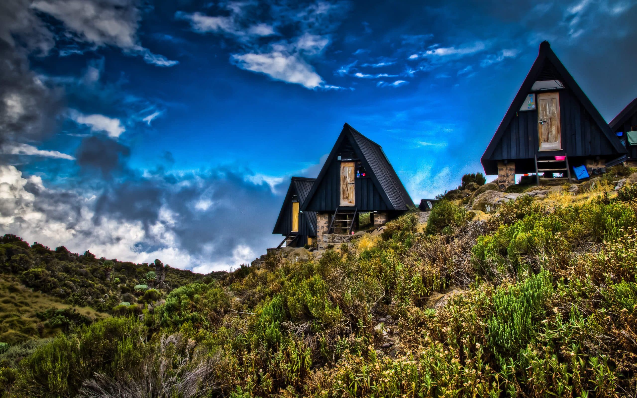 Kilimanjaro Day Hike to Mandara Camp