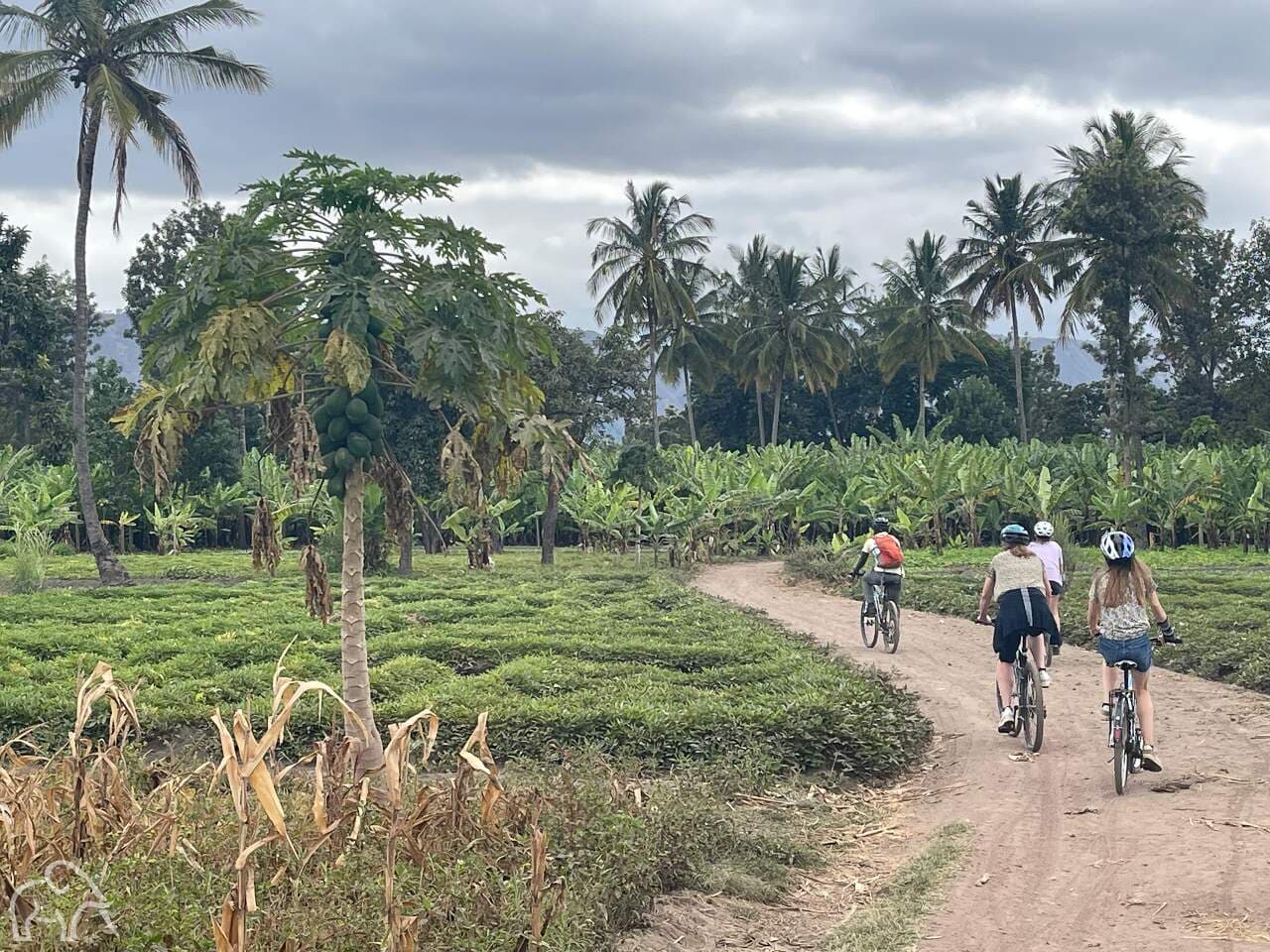 Mountainbiking Mto-wa-Mbu
